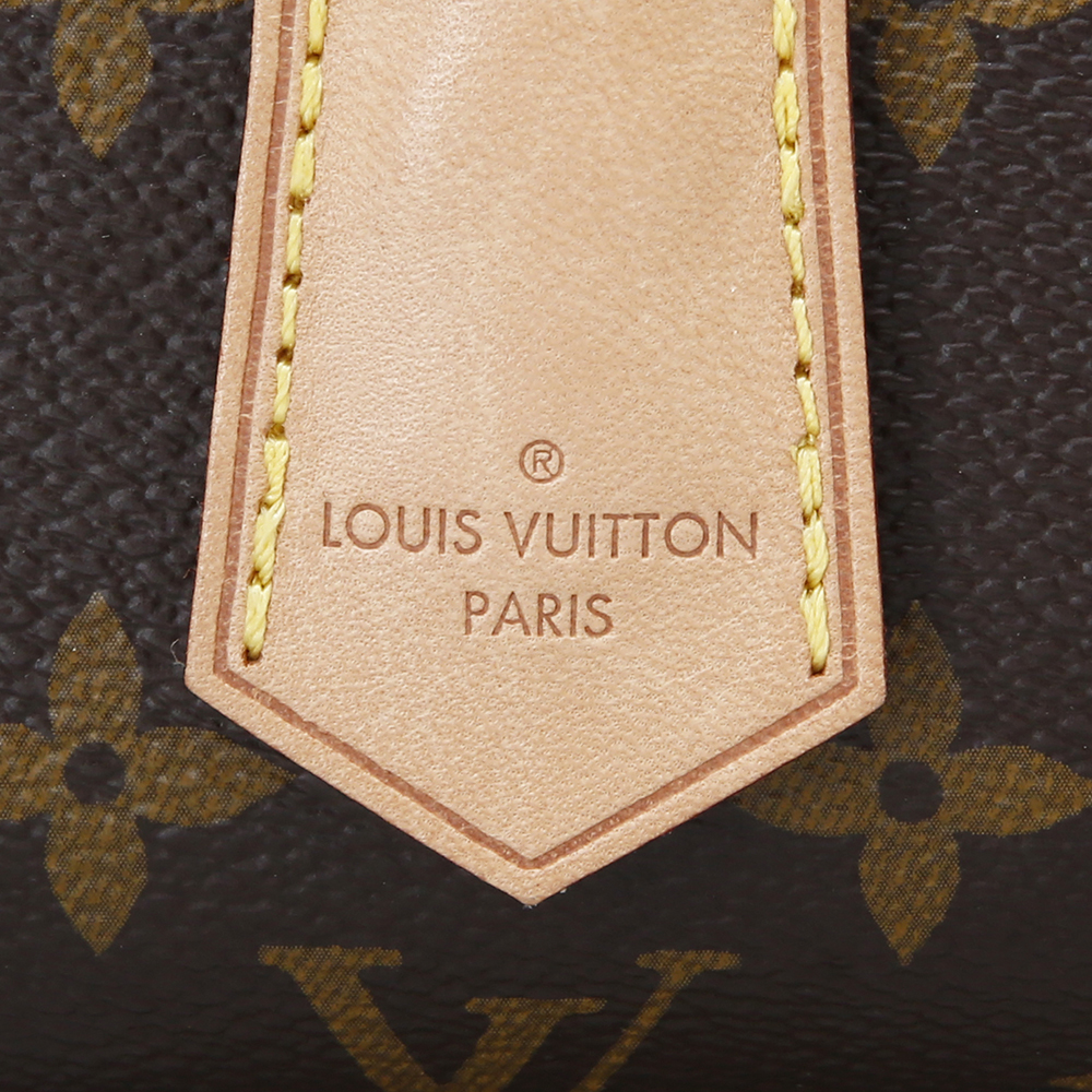 LOUIS VUITTON(USED)루이비통 모노그램 클루니MM