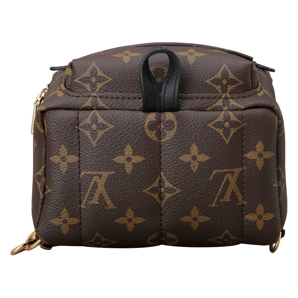 LOUIS VUITTON(USED)루이비통 팜 스프링스 미니 백팩
