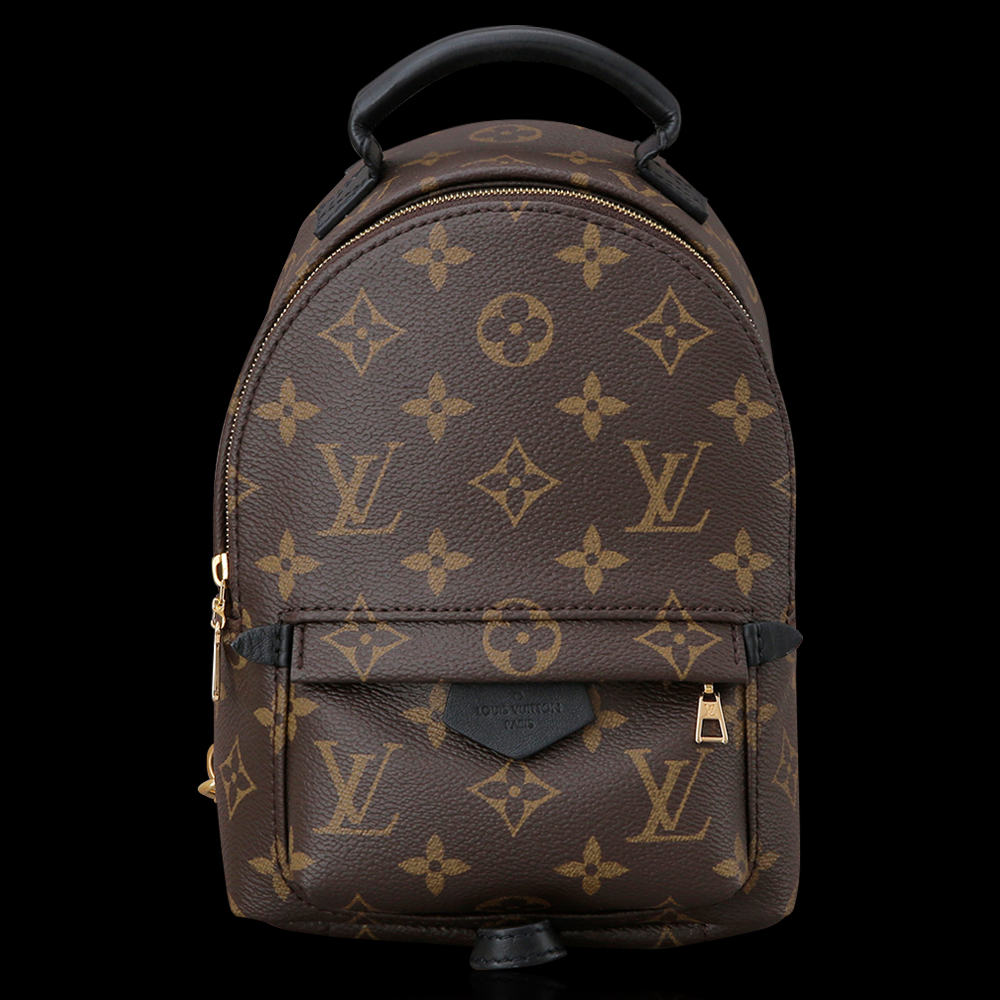 LOUIS VUITTON(USED)루이비통 팜 스프링스 미니 백팩