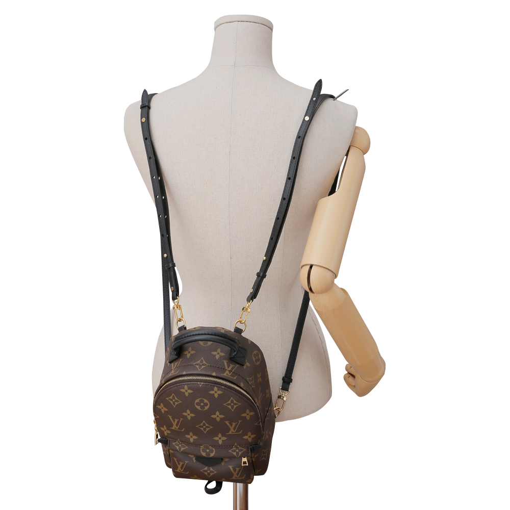 LOUIS VUITTON(USED)루이비통 팜 스프링스 미니 백팩