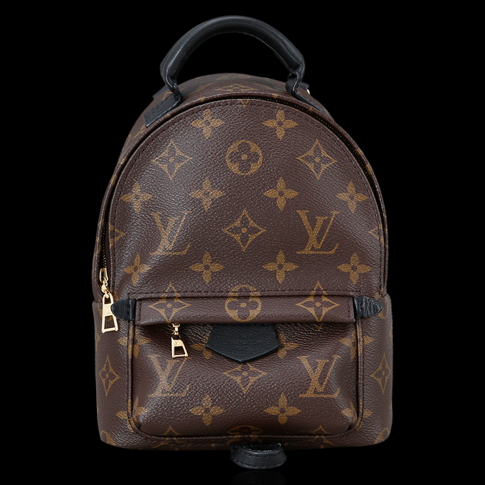 LOUIS VUITTON(USED)루이비통 팜 스프링스 미니 백팩