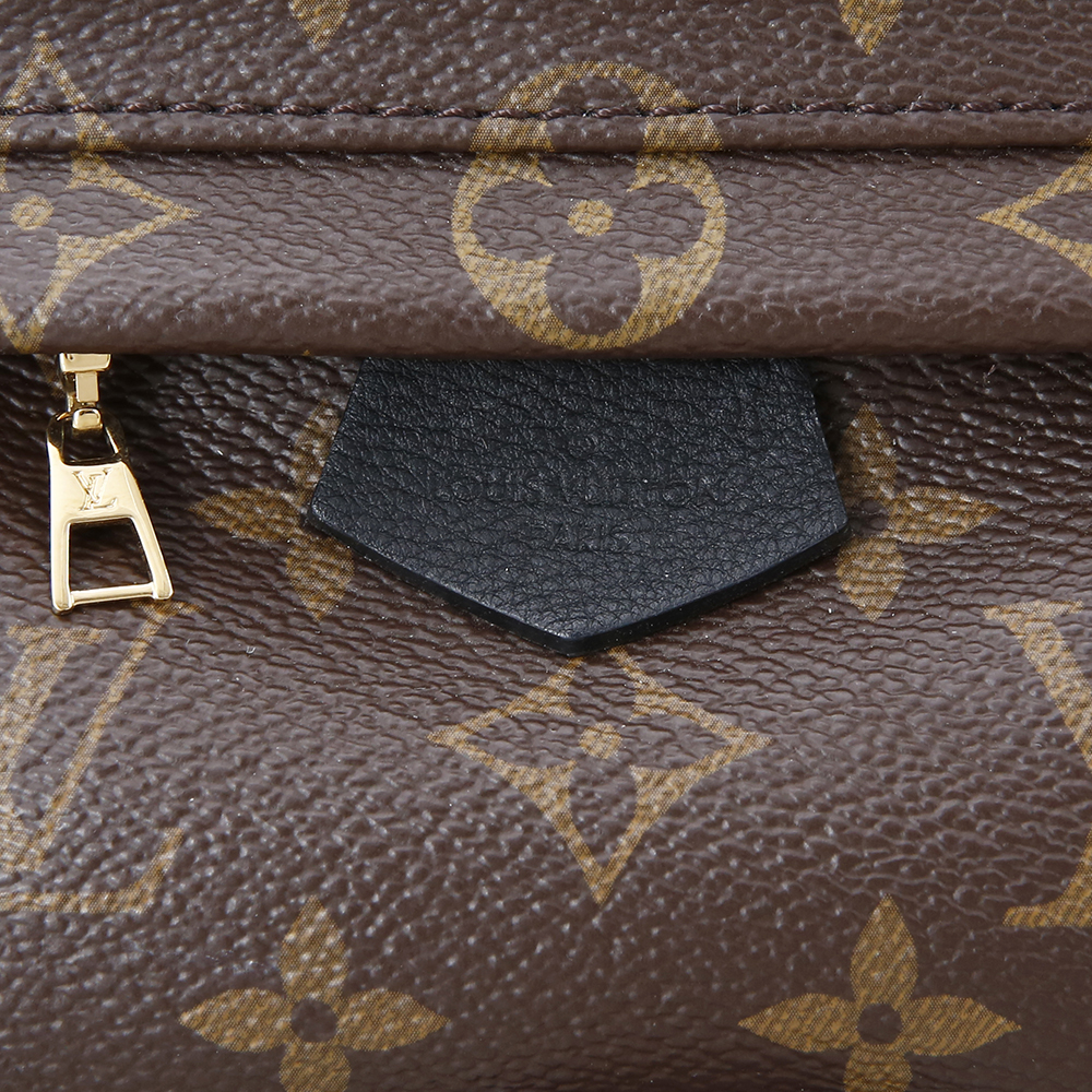 LOUIS VUITTON(USED)루이비통 팜 스프링스 미니 백팩