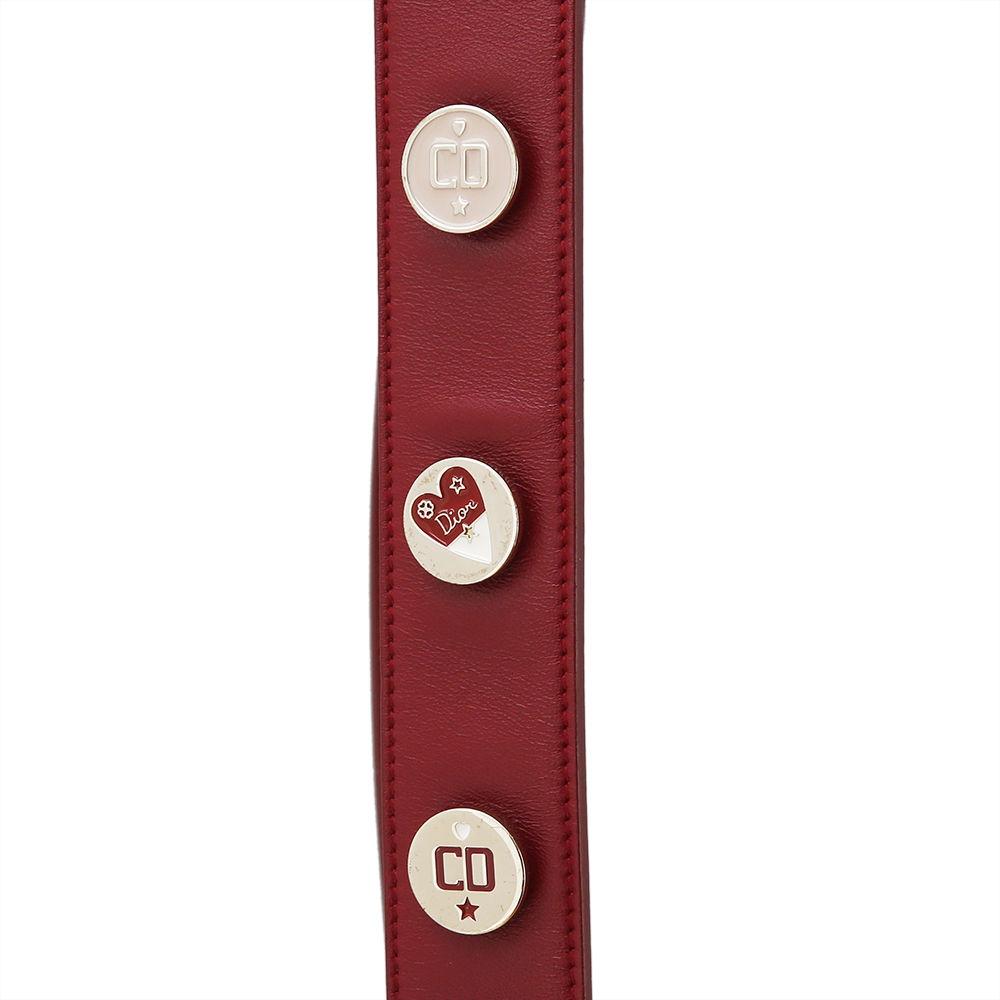 CHRISTIAN DIOR(USED)레이디 디올 스몰