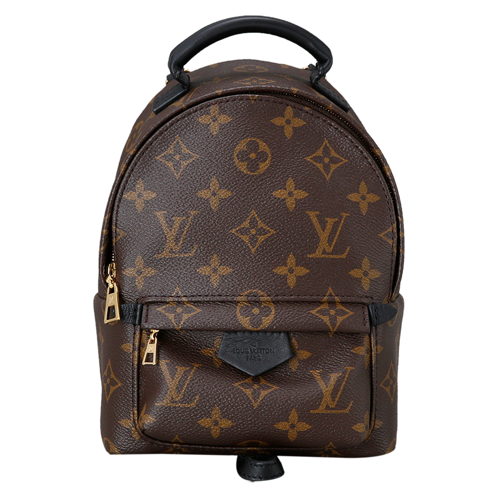 LOUIS VUITTON(USED) 루이비통 팜스프링 미니 백팩