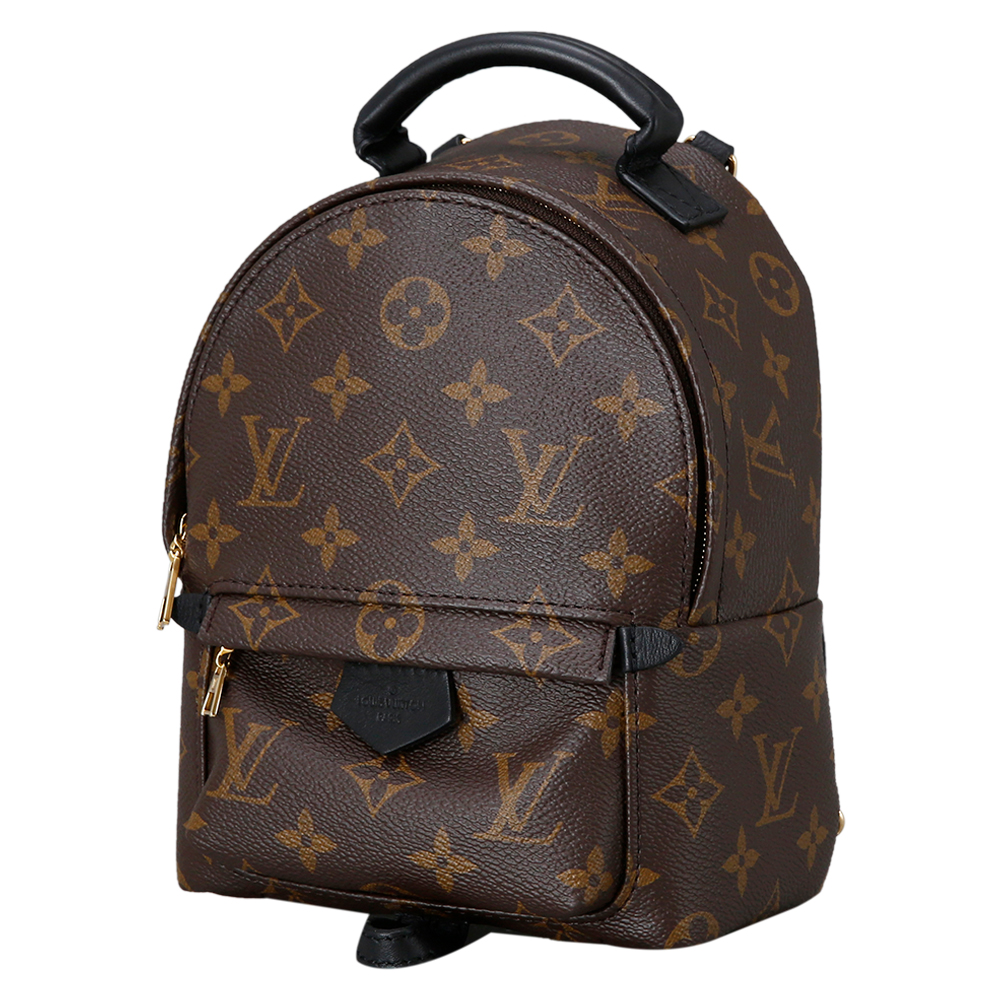 LOUIS VUITTON(USED) 루이비통 팜스프링 미니 백팩