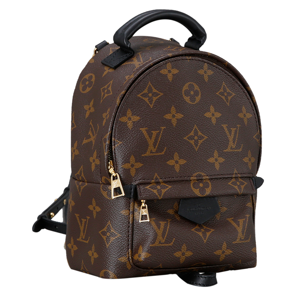 LOUIS VUITTON(USED) 루이비통 팜스프링 미니 백팩