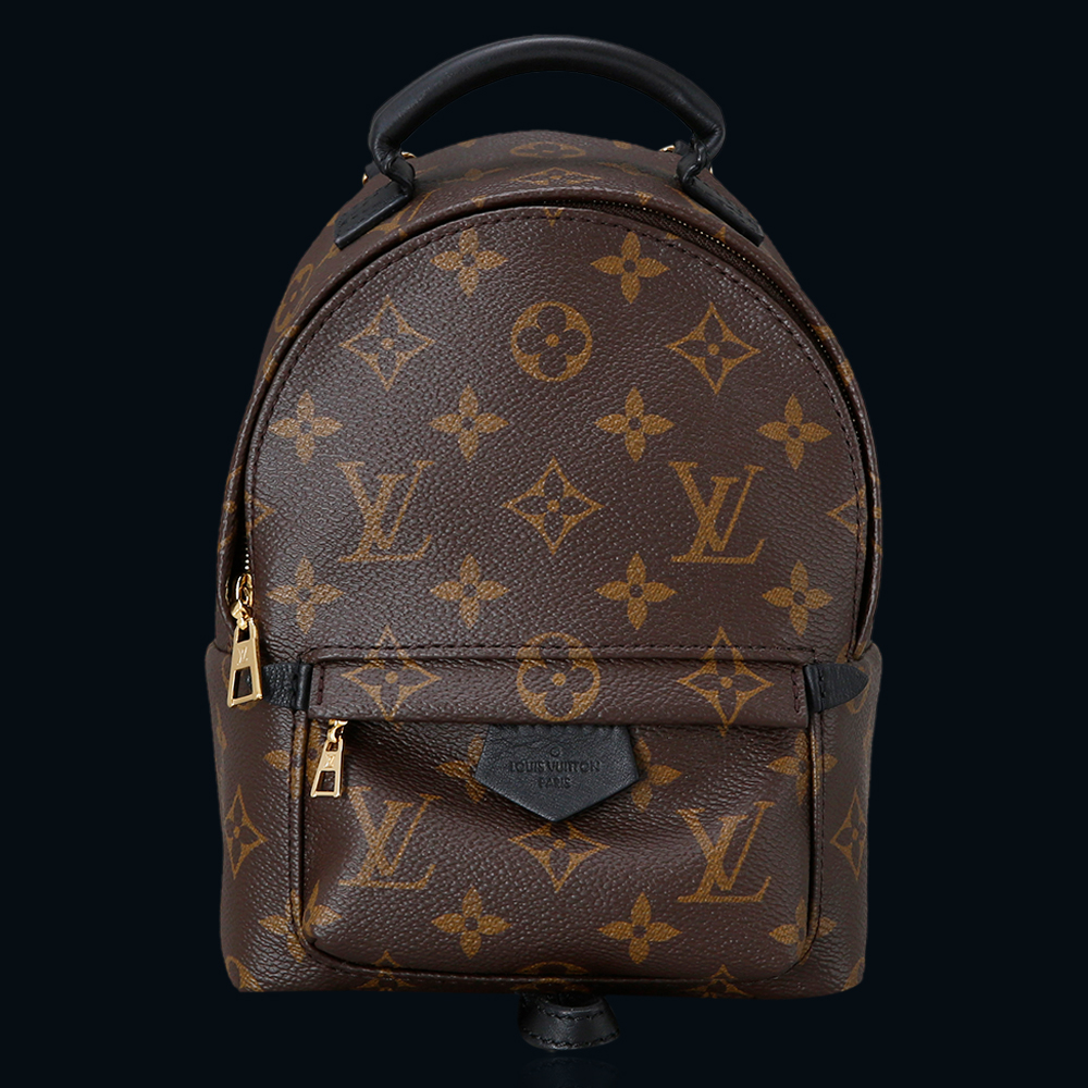 LOUIS VUITTON(USED) 루이비통 팜스프링 미니 백팩