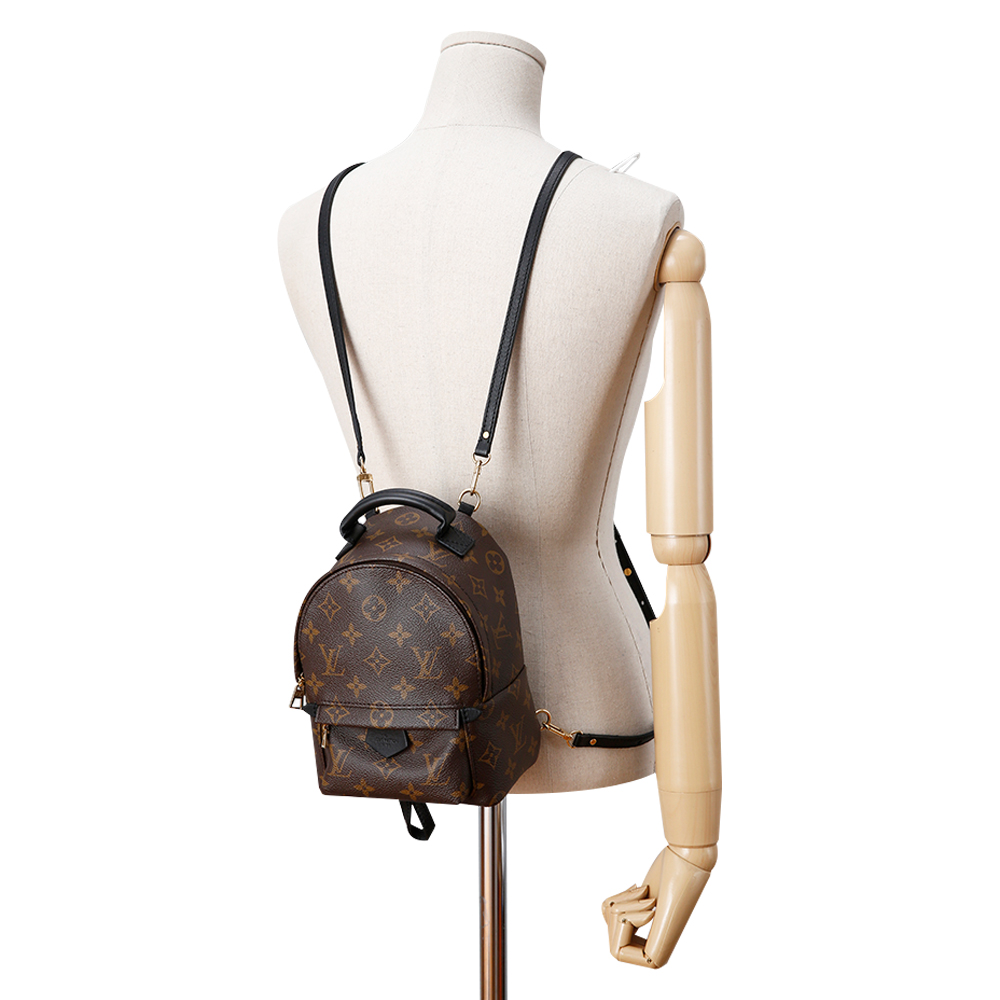 LOUIS VUITTON(USED) 루이비통 팜스프링 미니 백팩