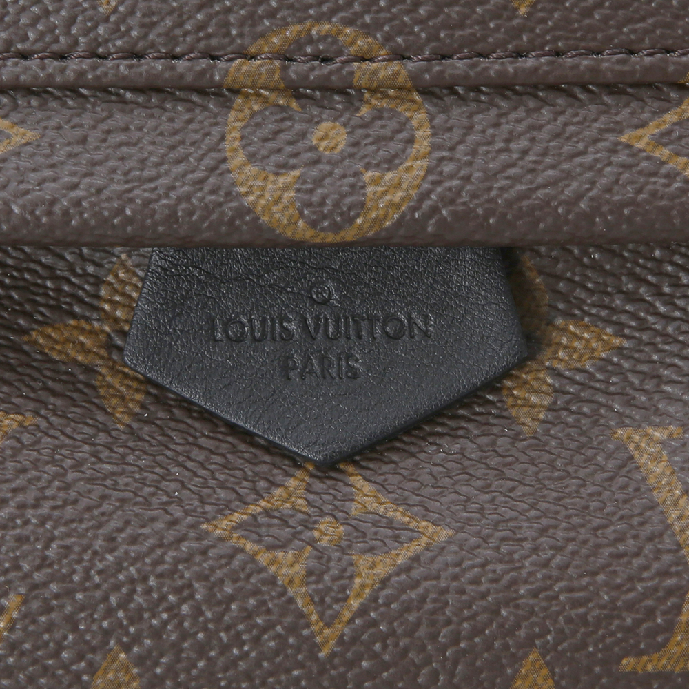 LOUIS VUITTON(USED) 루이비통 팜스프링 미니 백팩