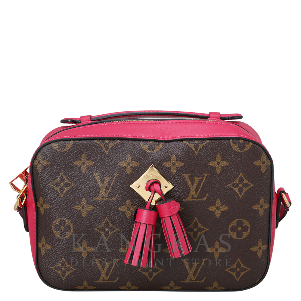 LOUIS VUITTON(USED) 루이비통 생통주