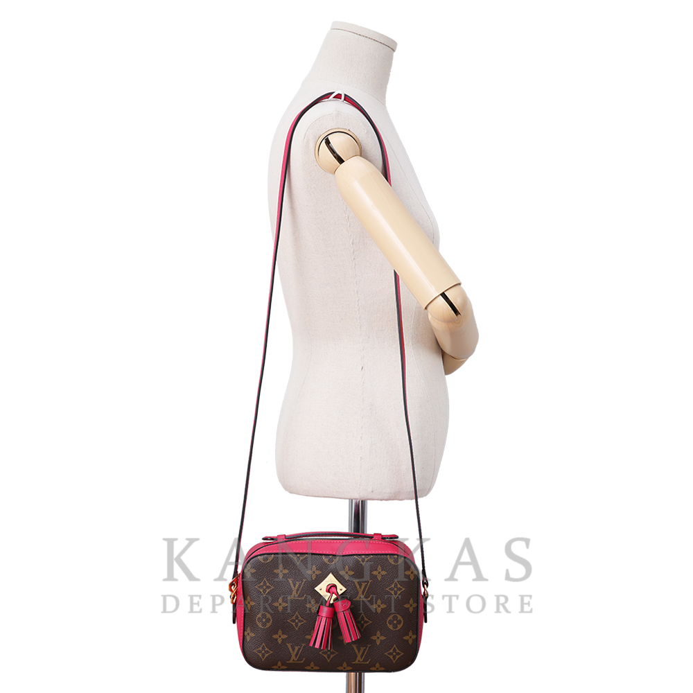 LOUIS VUITTON(USED) 루이비통 생통주