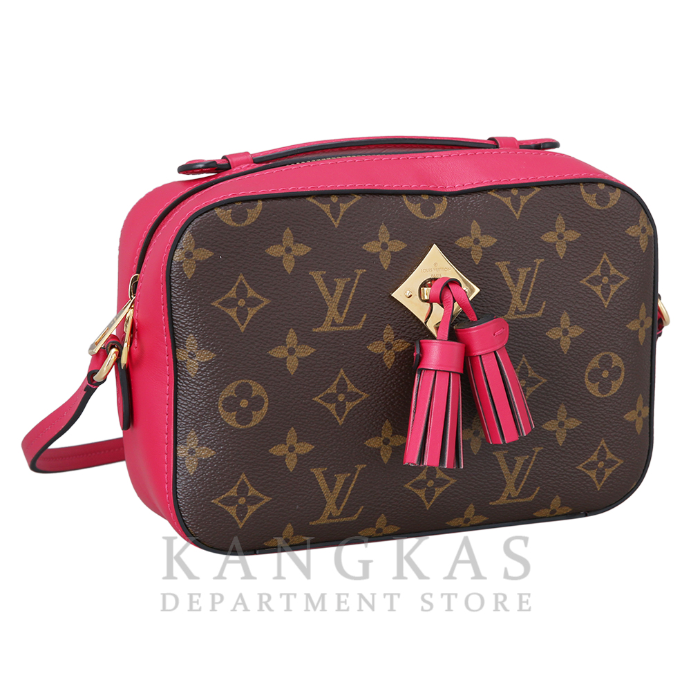 LOUIS VUITTON(USED) 루이비통 생통주