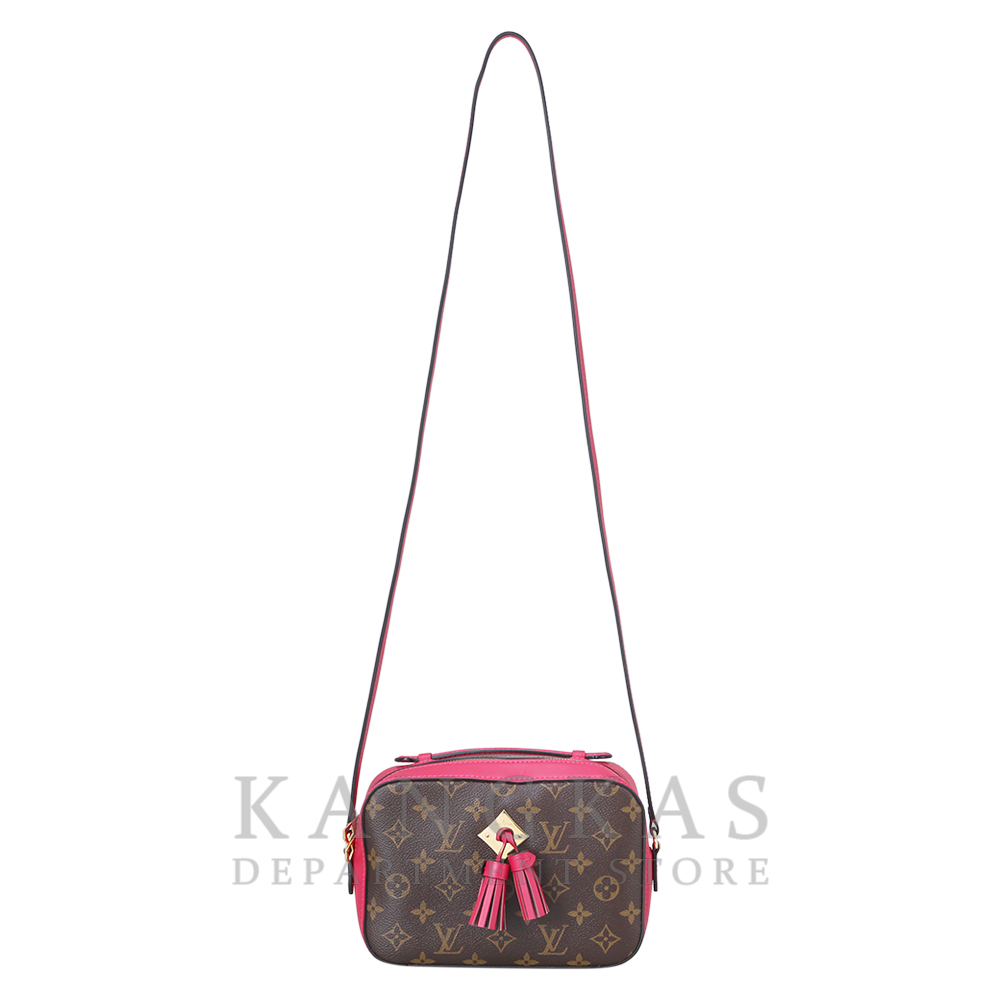 LOUIS VUITTON(USED) 루이비통 생통주