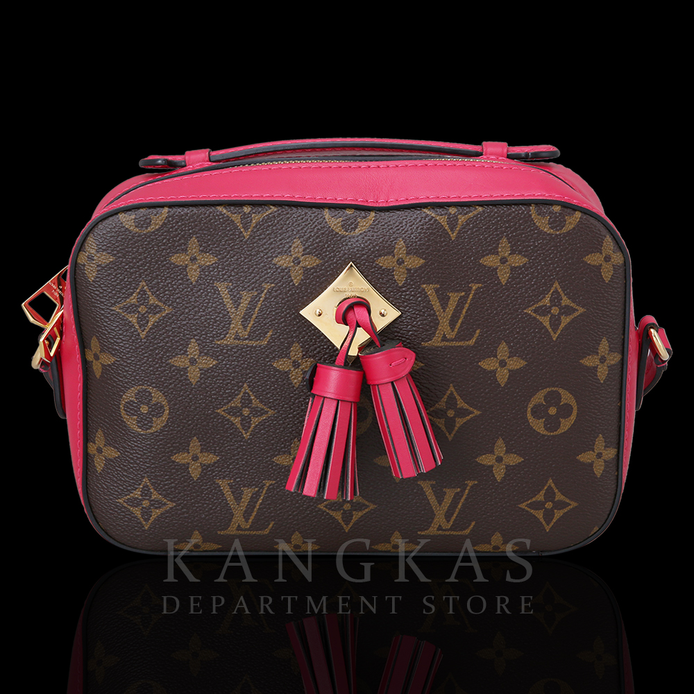 LOUIS VUITTON(USED) 루이비통 생통주
