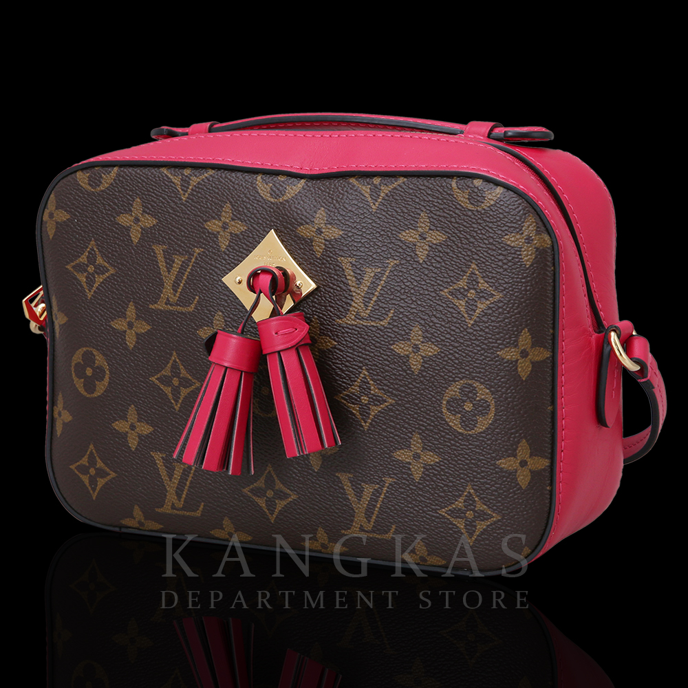 LOUIS VUITTON(USED) 루이비통 생통주