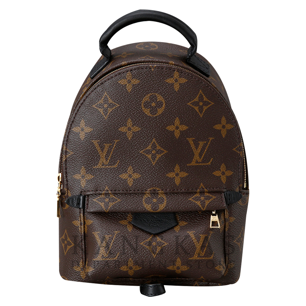 LOUIS VUITTON(USED) 루이비통 팜스프링 미니 백팩