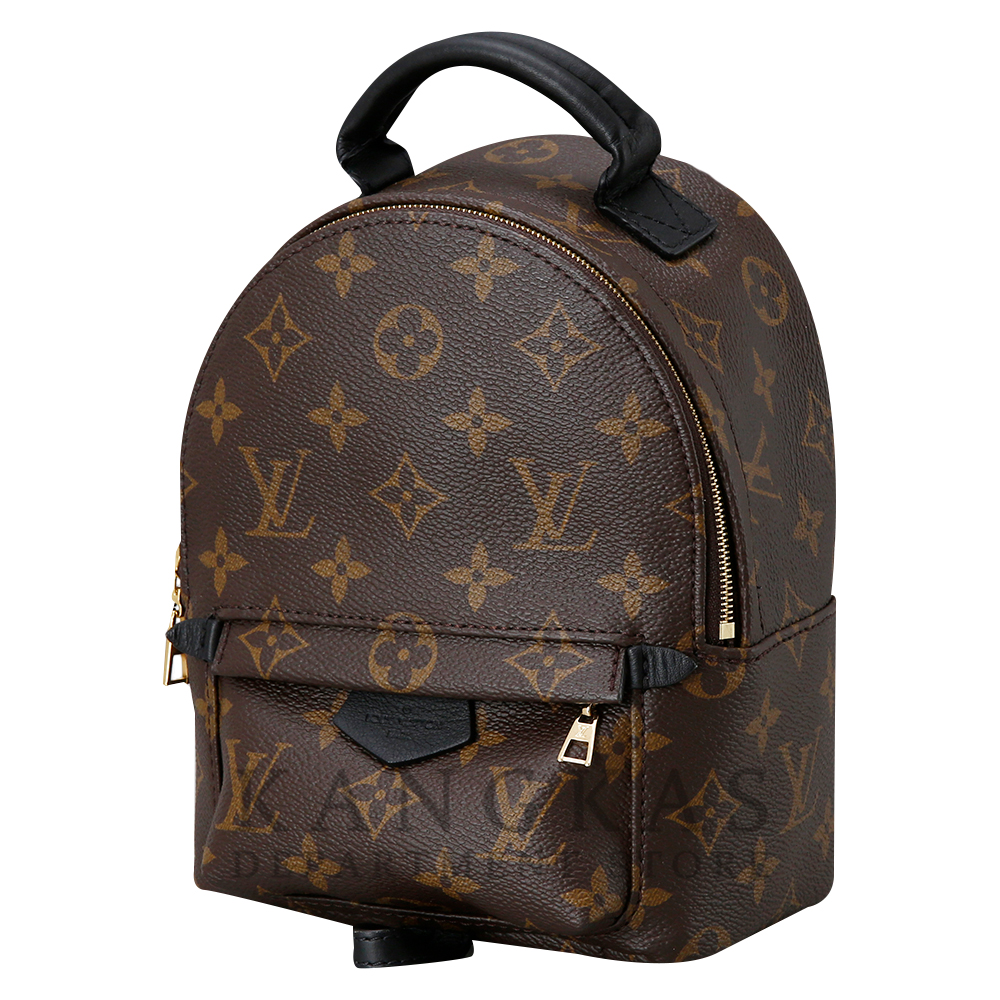 LOUIS VUITTON(USED) 루이비통 팜스프링 미니 백팩
