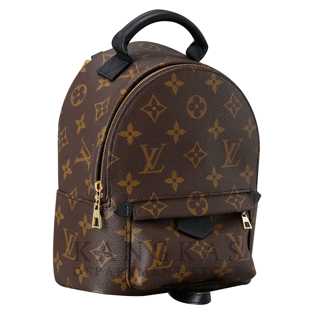 LOUIS VUITTON(USED) 루이비통 팜스프링 미니 백팩
