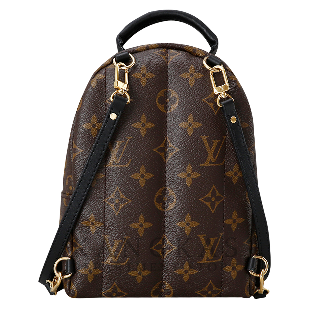 LOUIS VUITTON(USED) 루이비통 팜스프링 미니 백팩