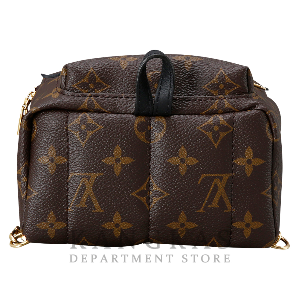 LOUIS VUITTON(USED) 루이비통 팜스프링 미니 백팩