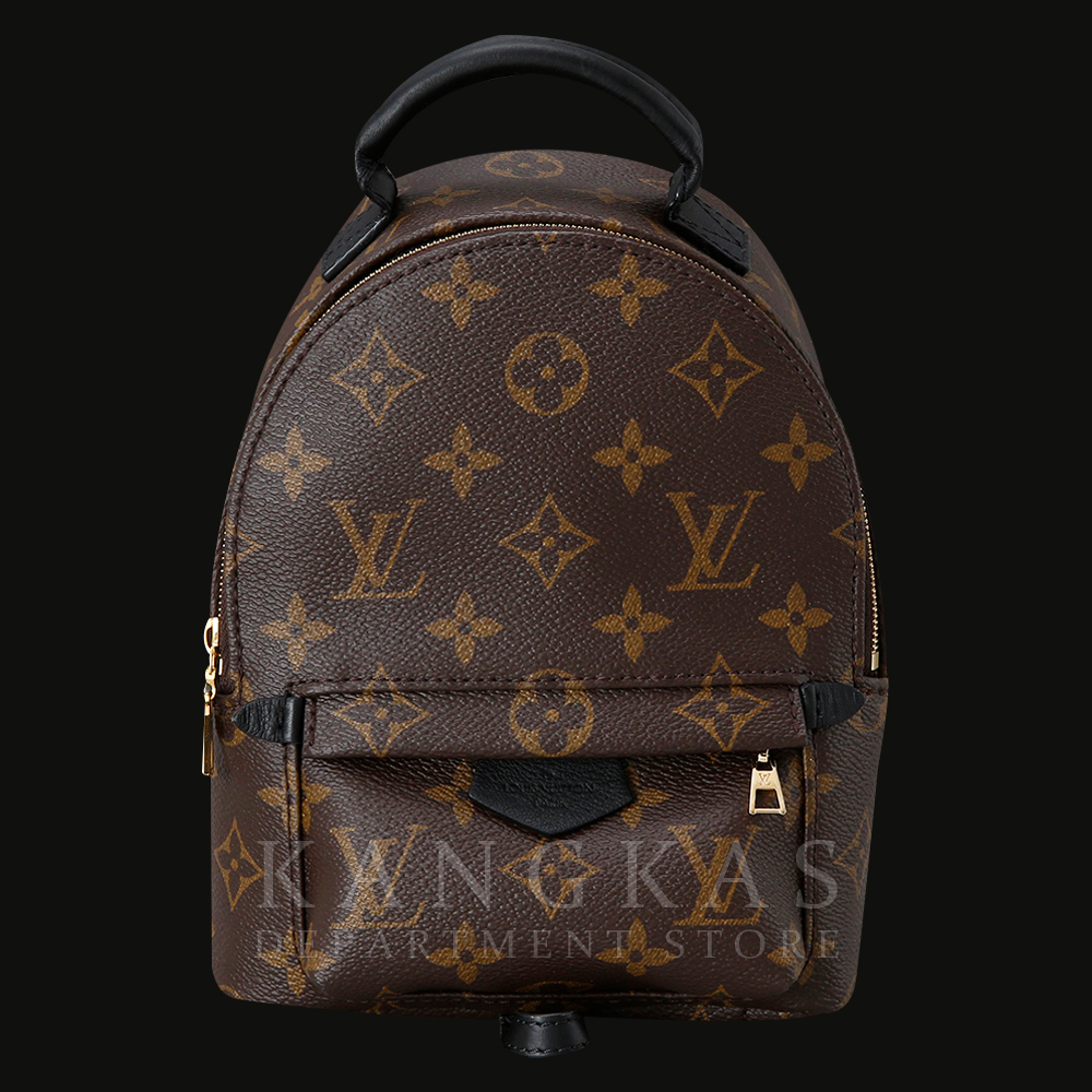 LOUIS VUITTON(USED) 루이비통 팜스프링 미니 백팩