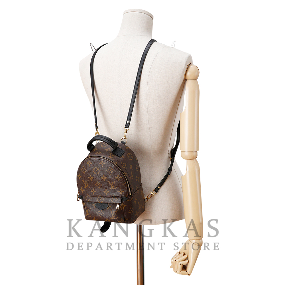 LOUIS VUITTON(USED) 루이비통 팜스프링 미니 백팩