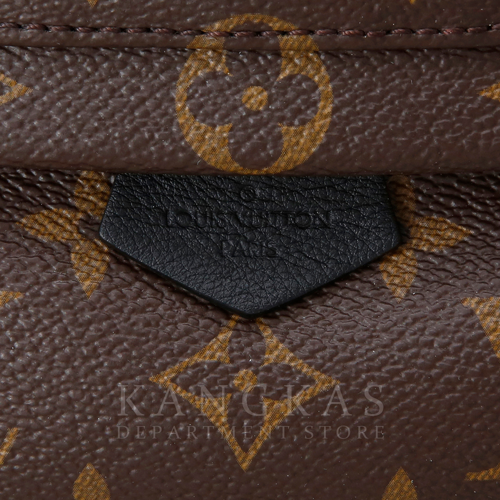LOUIS VUITTON(USED) 루이비통 팜스프링 미니 백팩