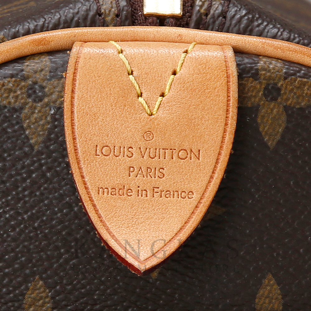 LOUIS VUITTON(USED)루이비통 모노그램 파필론