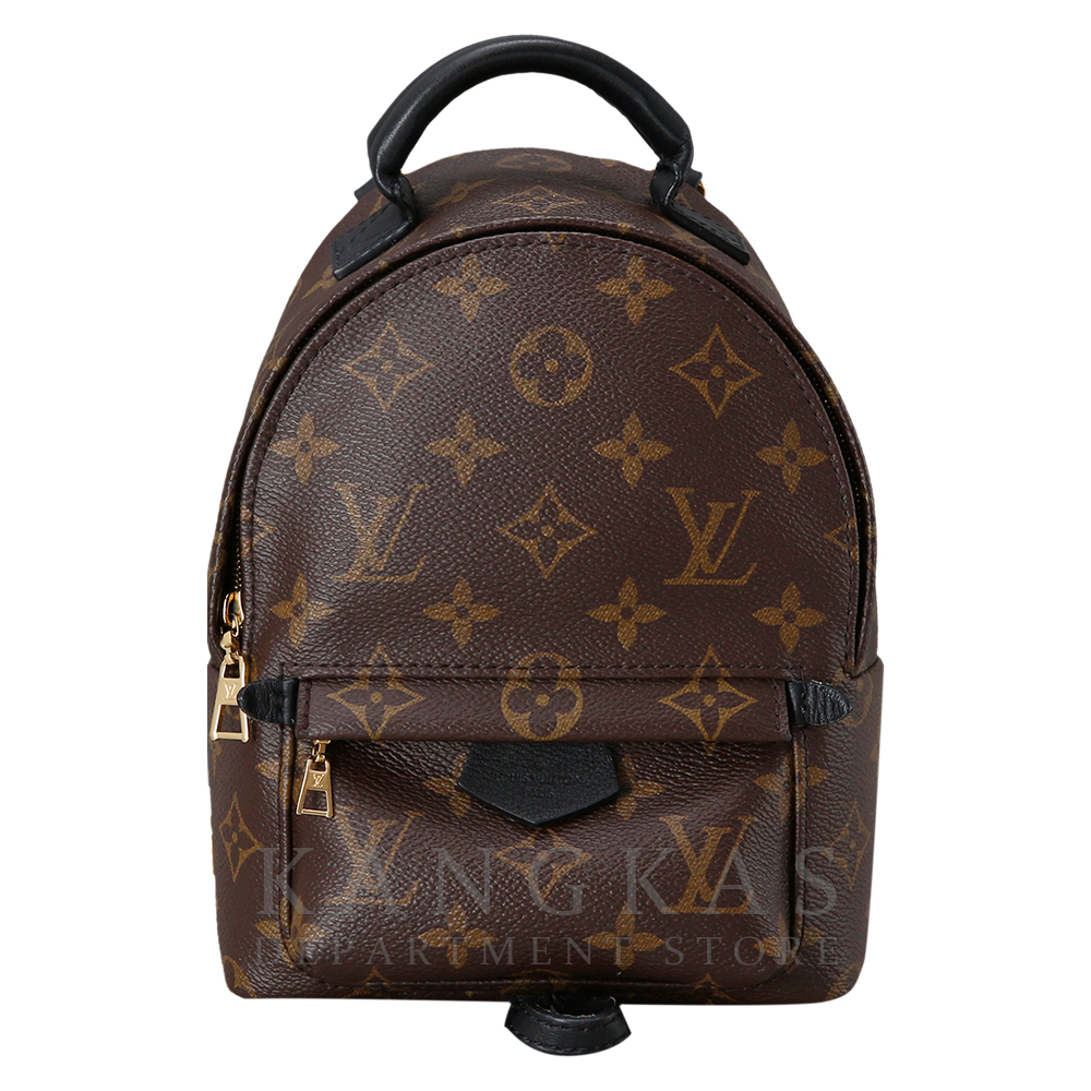 LOUIS VUITTON(USED)루이비통 팜 스프링스 미니 백팩