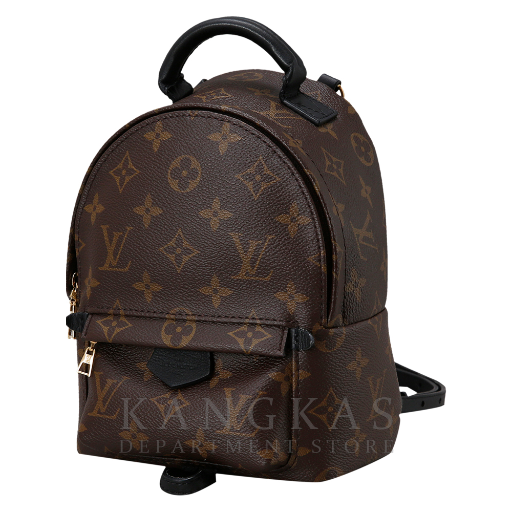 LOUIS VUITTON(USED)루이비통 팜 스프링스 미니 백팩