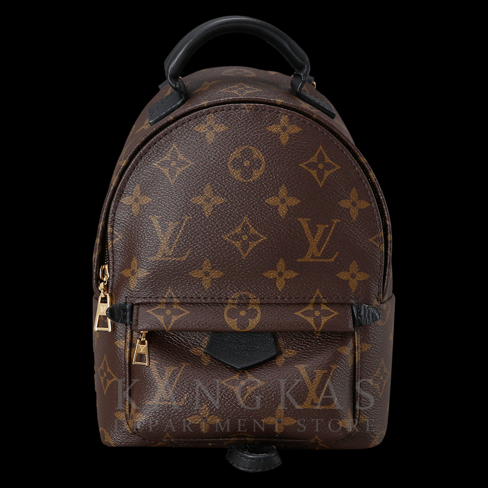 LOUIS VUITTON(USED)루이비통 팜 스프링스 미니 백팩