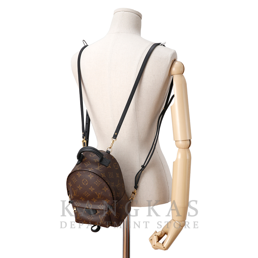 LOUIS VUITTON(USED)루이비통 팜 스프링스 미니 백팩