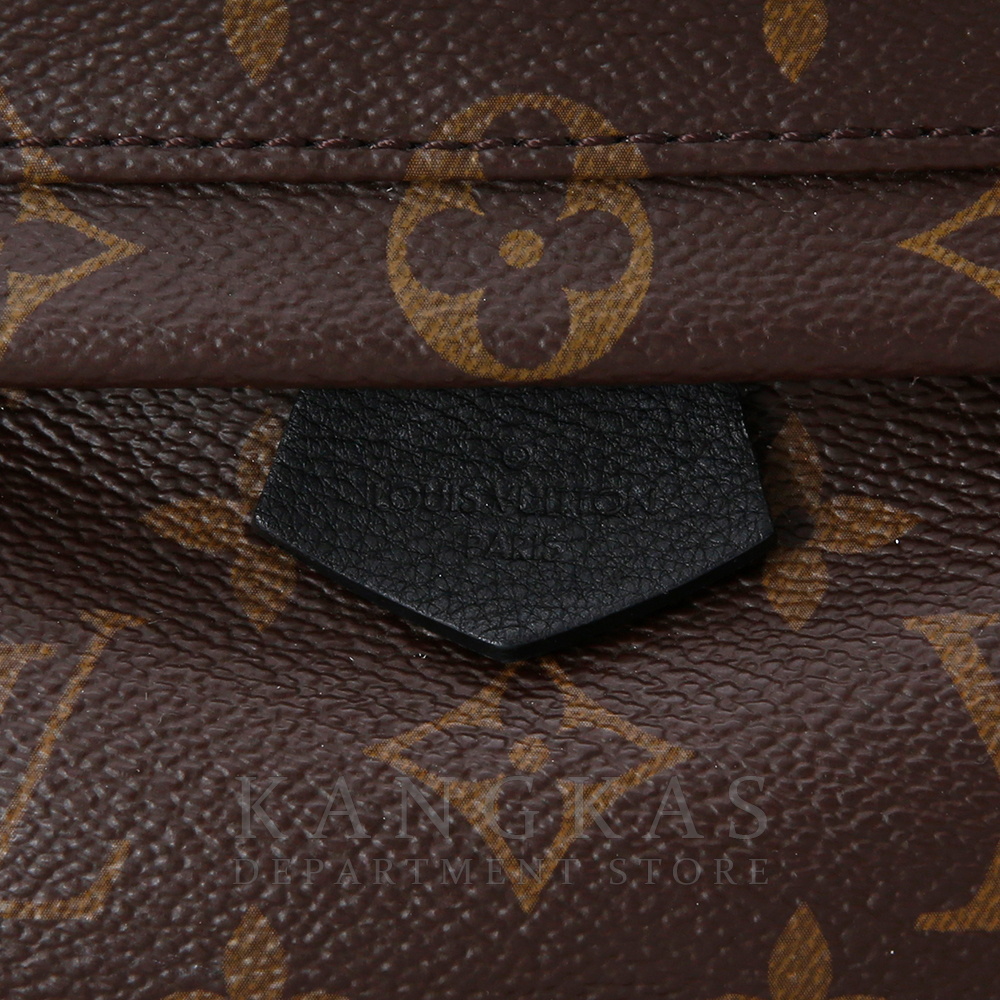 LOUIS VUITTON(USED)루이비통 팜 스프링스 미니 백팩