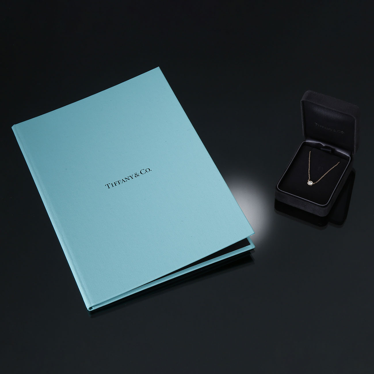 TIFFANY(USED)티파니 바이더야드 다이아 네크리스