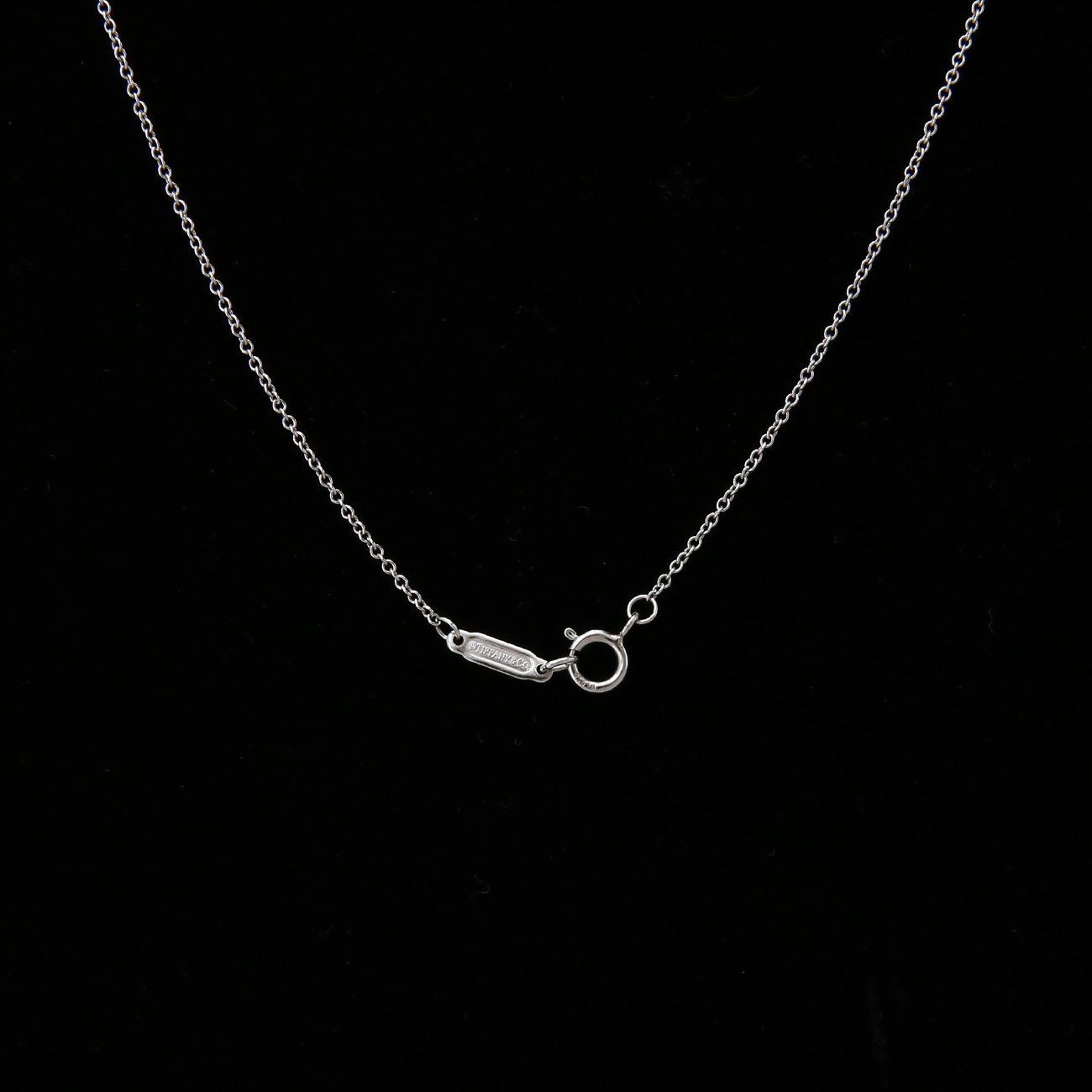 TIFFANY(USED)티파니 페탈 키 펜던트 네크리스